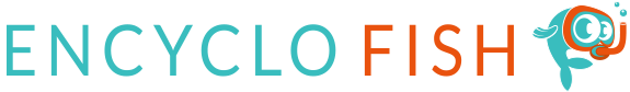 logo encyclo-fish